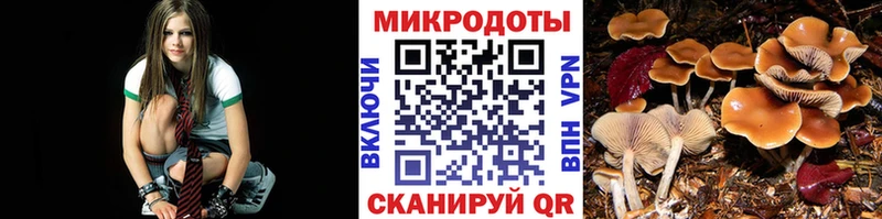 Купить  Энгельс  Галлюциногенные грибы мухоморы 